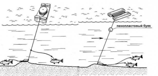 Ловля леща при помощи буйков. Интересный способ ловли - «Техники ловли»